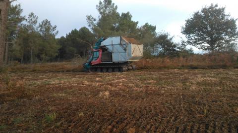 Gestion de landes dans la vallée du Canut Vallée du Canut, gestion, lande